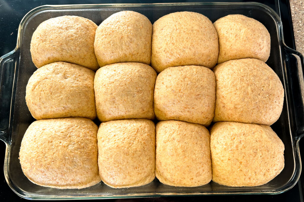 Formed dinner roll rough after they are done rising