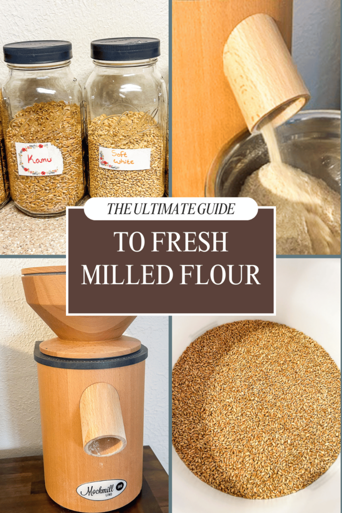 The Ultimate Guide to Fresh Milled Flour with a picture of wheat berries and Mockmill