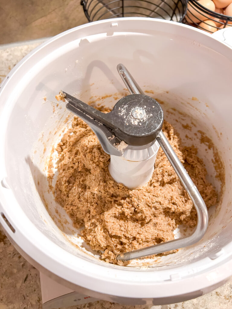 dough sitting in the resting period to absorb the liquid