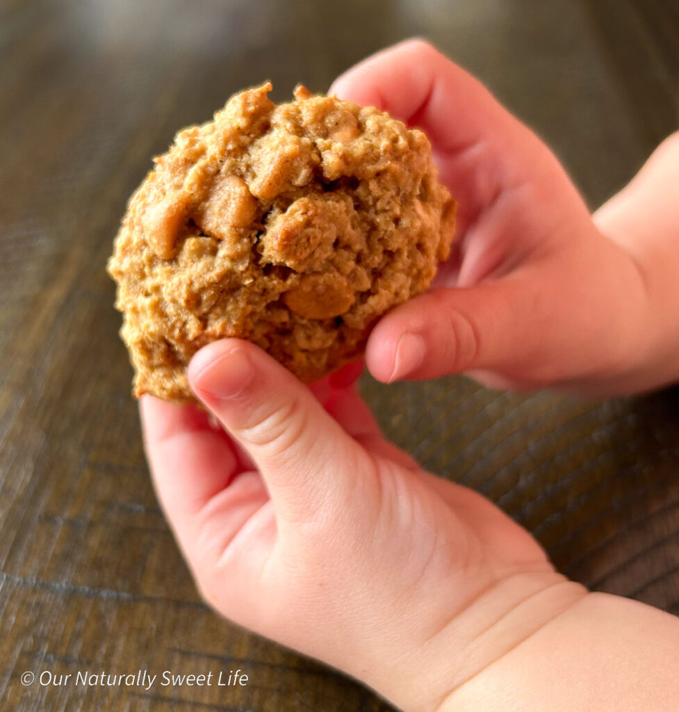 Chubby baby fingers grasping a soft, homemade butterscotch oatmeal cookie, fresh from the oven—capturing the joy of a diabetes-friendly treat made with love.