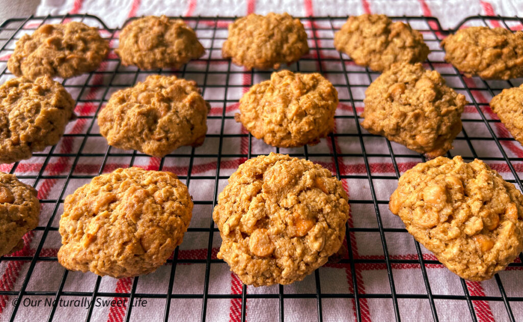 Freshly baked sugar-free butterscotch oatmeal cookies cooling on a wire rack over a red and white kitchen towel. These golden brown cookies are low-carb, diabetes-friendly, and full of wholesome, homemade goodness.