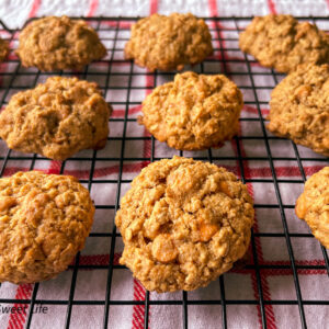 Freshly baked sugar-free butterscotch oatmeal cookies cooling on a wire rack over a red and white kitchen towel. These golden brown cookies are low-carb, diabetes-friendly, and full of wholesome, homemade goodness.