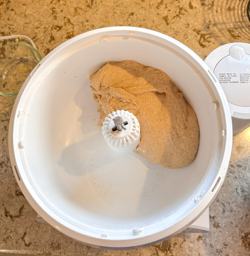 Fresh milled spelt and kamut dough resting in a mixing bowl before the first rise